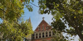 London To Selhurst Park: Discover The Best Travel Tips Today