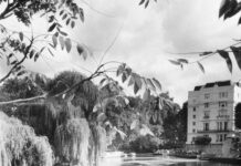 Benjamin Moore London Fog: Discover Its Transformative Elegance