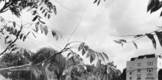 Benjamin Moore London Fog: Discover Its Transformative Elegance