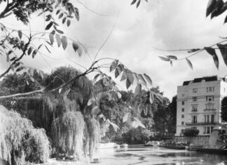 Benjamin Moore London Fog: Discover Its Transformative Elegance