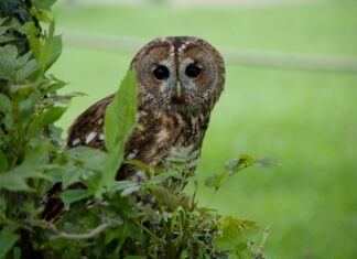 Bethnal Green London UK: Discover Hidden Gems and Local Secrets