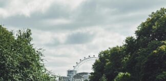 Family Hotels London: Discover The Perfect Stay For Your Loved Ones