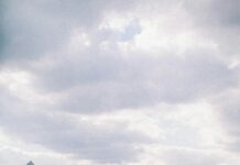 Museum Of London Docklands: Discover Canary Wharf’s Hidden Gems