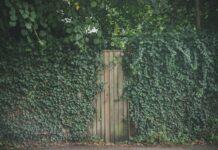 Zip Code For London England UK: Discover The Hidden Gems!