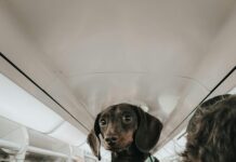 London To Stonehenge Train: Discover The Ultimate Travel Experience