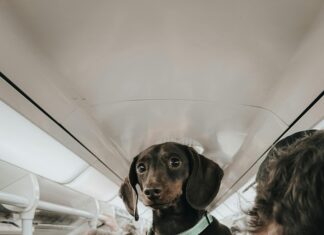 London To Stonehenge Train: Discover The Ultimate Travel Experience