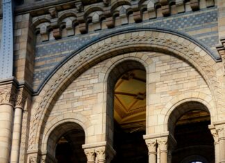 Vincent Byas London Arrested Rape: What Are The Shocking Details?