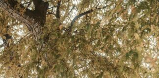 Distance Between London And Paris: Discover The Best Travel Options