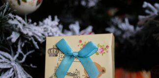 Miraculous London Special Full Episode: What Surprises Await?