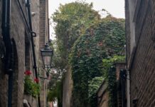 London Kentucky Zip Code: Discover Hidden Gems in This Charming Town
