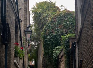 London Kentucky Zip Code: Discover Hidden Gems in This Charming Town