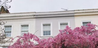 London Terrace Gardens: Transform Your Outdoor Space Into Paradise