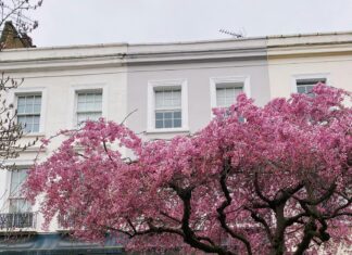 London Terrace Gardens: Transform Your Outdoor Space Into Paradise