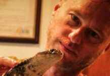 Universal Antivenom Developed with Help of Man Surviving 200 Snakebites universal-antivenom-developed-with-help-of-man-surviving-200-snakebites