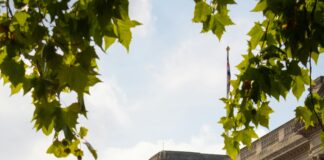 London Townhomes: Discover Luxurious Living in the Capital