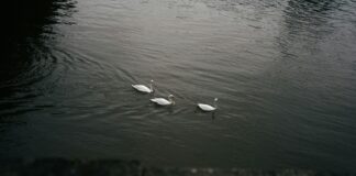 Jaded London Swim: Discover The Ultimate Swimwear Revolution