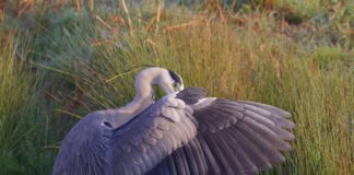 How Long Is The Flight From Chicago To London? Discover Now!