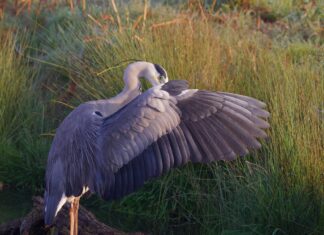 How Long Is The Flight From Chicago To London? Discover Now!