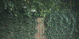 Hendon London NW4: Discover Hidden Gems and Local Secrets Today!