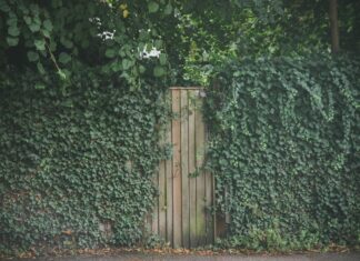 London KY Zip: Discover Hidden Gems and Local Secrets Today!