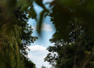 St Joseph London KY: Discover Hidden Gems and Local Secrets