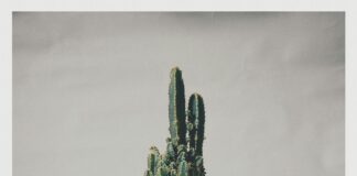 Instant Pot London Broil: Discover The Secret To Tender Perfection