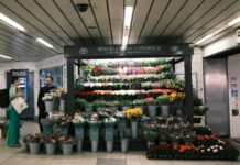 Chiswick Mall London W4: Discover Hidden Gems and Local Treasures