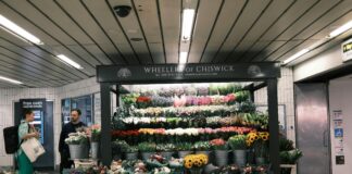 Chiswick Mall London W4: Discover Hidden Gems and Local Treasures