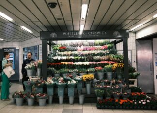 Chiswick Mall London W4: Discover Hidden Gems and Local Treasures