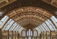 Cambridge To London: Discover The Best Ways To Travel Efficiently