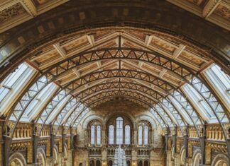 Cambridge To London: Discover The Best Ways To Travel Efficiently