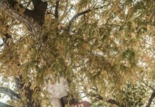 London To Rome Train: Discover The Scenic Route Experience