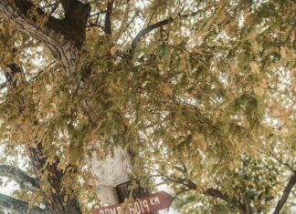 London To Rome Train: Discover The Scenic Route Experience