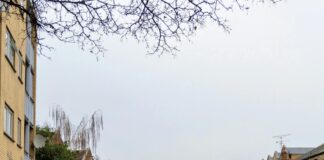 Tottenham London Area: Discover Hidden Gems and Local Secrets